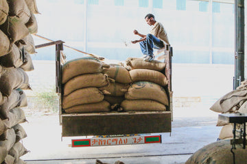 Unloading coffee at origin warehouse